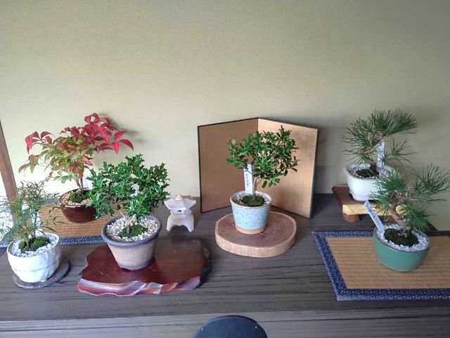 �~�͂Â���̌��̊����i�ł��B�Q���̊F�l�ł��݂��̍�i����r���Ȃ���A�J�b�R�悳�A�������ɂ��Ă��A����オ�邱�Ƃ������ł��B_�ۉ�