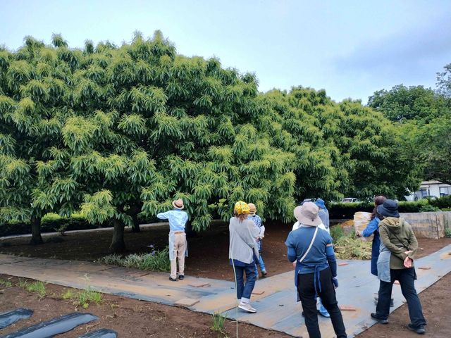 �ۉ��̌����̂����ׂɂ���ۉ��ޏ�ɂ͌I�т�����A�A���ȕ��i������߂܂��B_�ۉ�