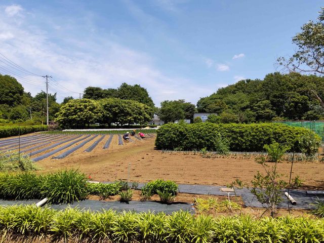 �ۉ��̌����̂����ׂł͊ۉ��ޏꂪ�L����A�̂Ȃ���̔_�������i���ς邱�Ƃ��ł��܂��B_�ۉ�