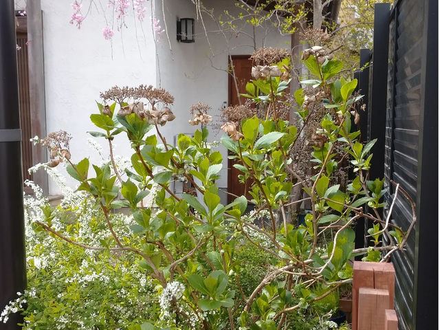 �Ȃ�܂��̕Ћ��ɂ��鎩��A�g���G�B
�߂��ɂ͌������⏭������L�΂��č����E�G�ցA�����`�����Ă���̃��[�N�V���b�v�ɎQ���������ł���I_�Ԃ̍H�[ ��΂�̎�