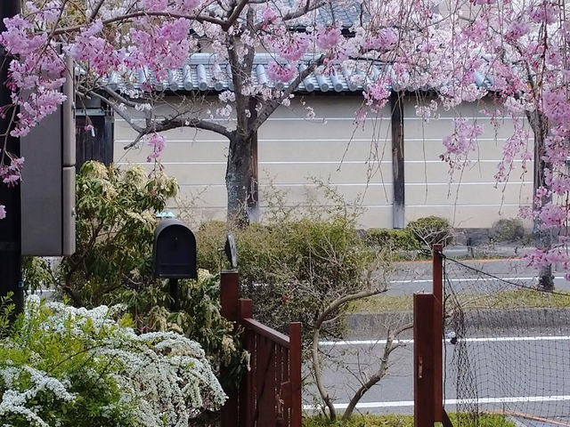 ���̋G�߂ɂ͂��Ԍ������Ȃ���̃��[�N�V���b�v���y���߂܂��B_�Ԃ̍H�[ ��΂�̎�