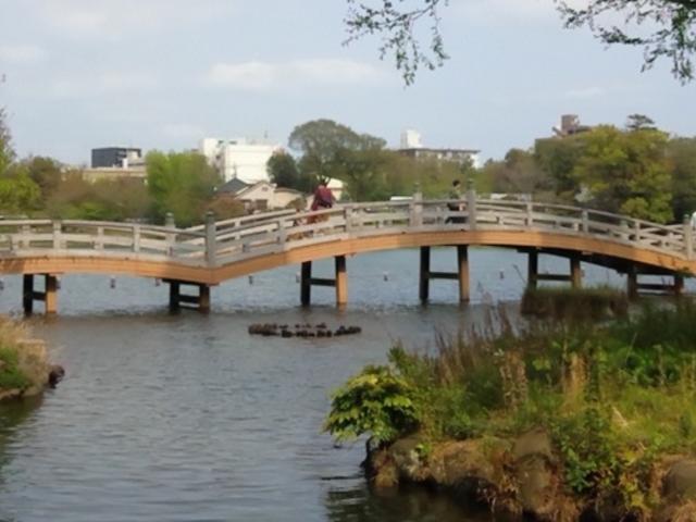 �̐�L�d�w�����]�˕S�i�x�ɂ��o�Ă�������r�B(�y�j�ߑO�c�A�[�ɂ�)_������Ѓr�����r�����c�A�[�Y