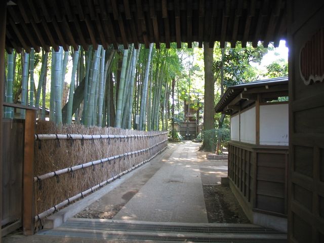 ���@���l�������������������r�̗R���ł��B���̍ہA�U�����|�������̖؂��O��ڂƂ����J���Ă���䏼���������B(�y�j�ߑO�c�A�[�ɂ�)_������Ѓr�����r�����c�A�[�Y