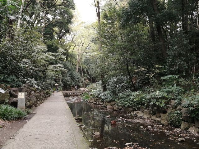 23����B��c�鎩�R�k�J�̓��X�͌k�J�́A�܂�ŐA�����̂悤�ɑ��l�Ȗ؁X��A�����݂��܂��B���݂ɁA�������p���[�X�|�b�g�ł��B(���j�ߑO�c�A�[�ɂ�)_������Ѓr�����r�����c�A�[�Y