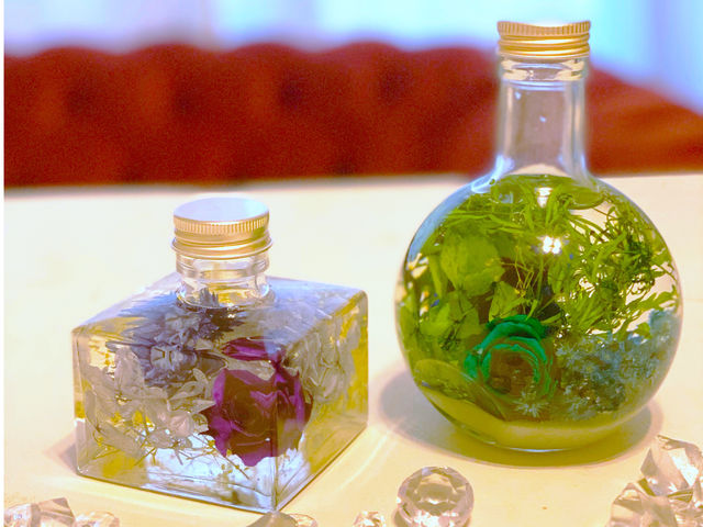 �����T�����h���[�Y