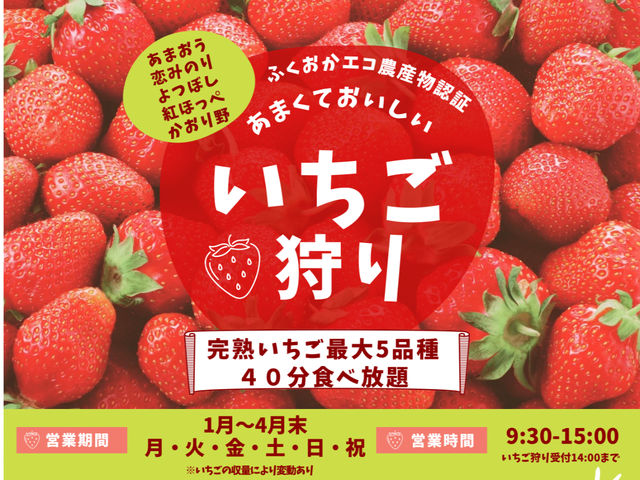 ܂Â݂AڂAgق؁A̍őTi40HוI_soil select farm