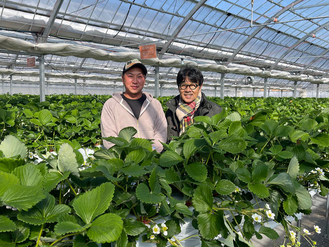 ��������farm