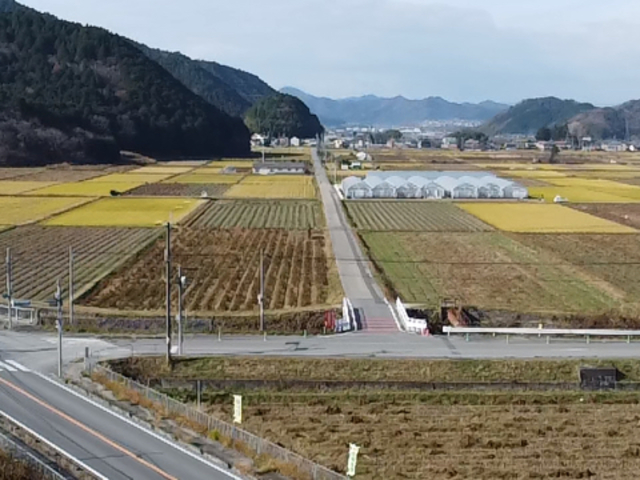 ������܃x���[1