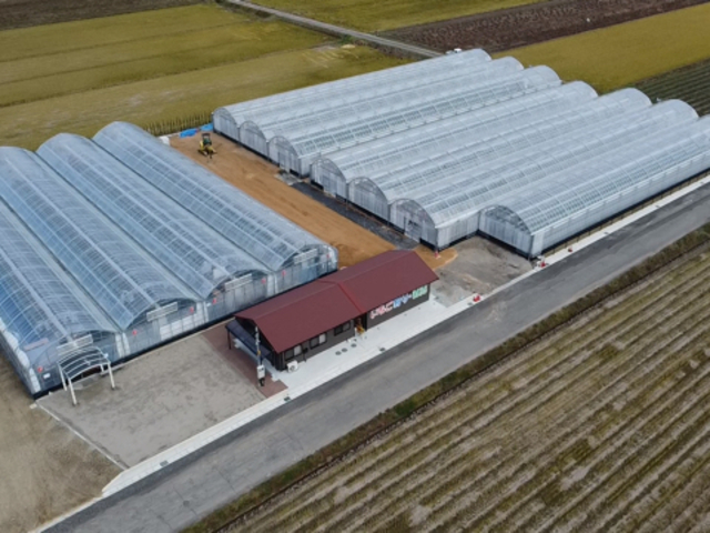 ������܃x���[1