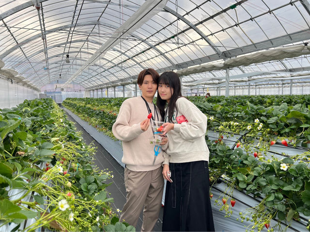 ������܃x���[1