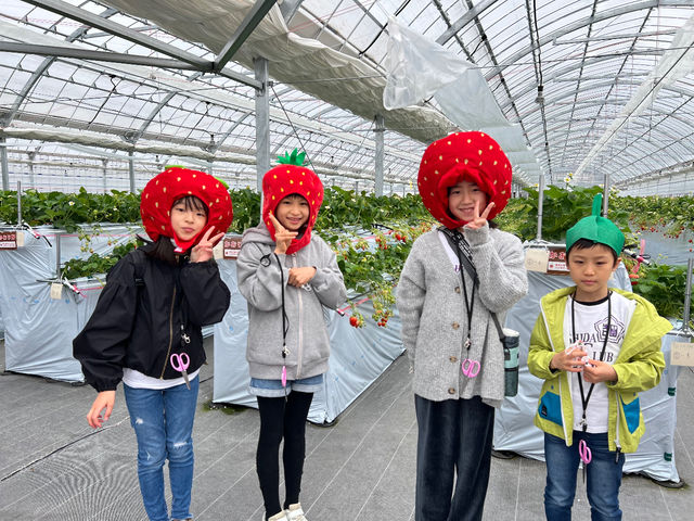 ������܃x���[1