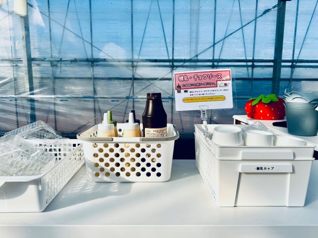 ������܃x���[1