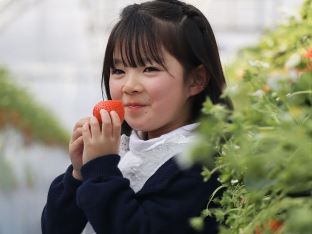 ������܃x���[1