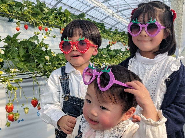 ������܃x���[1