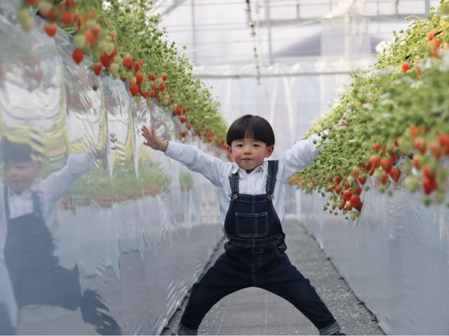 ������܃x���[1