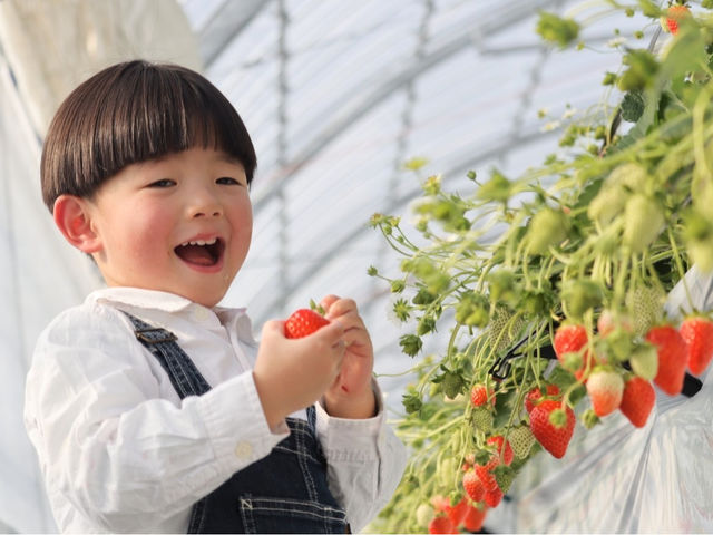 ������܃x���[1