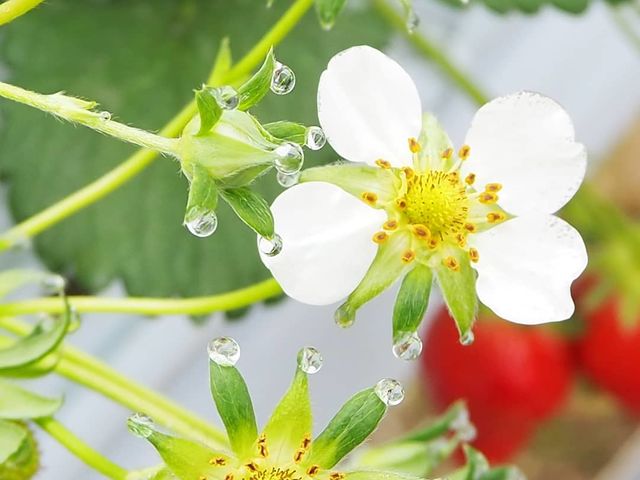 ������������