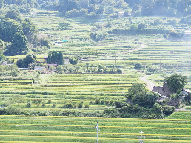 ������������