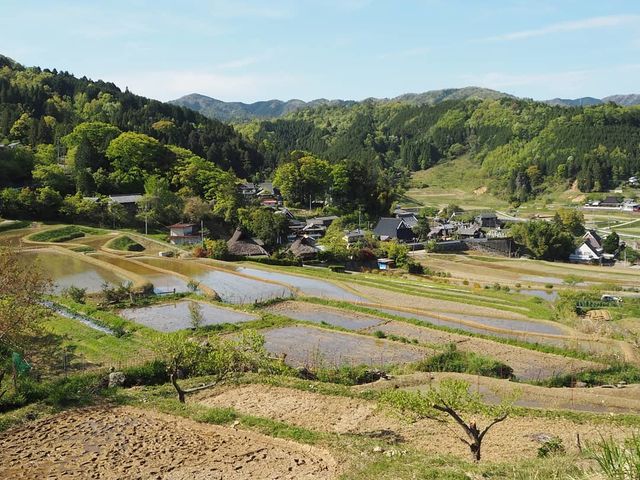 ������������