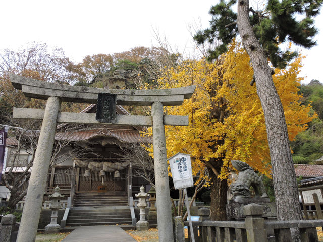 ����O�_��