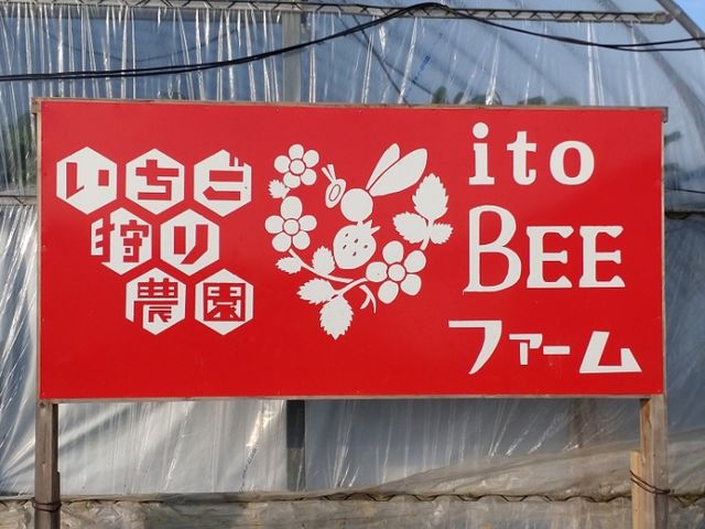 itoBEEファーム