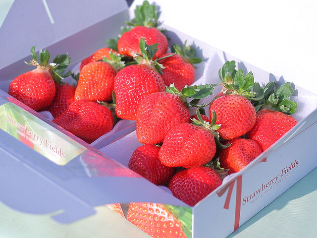 お持ち帰りの苺700g〜800g程入ります!_itoBEEファーム