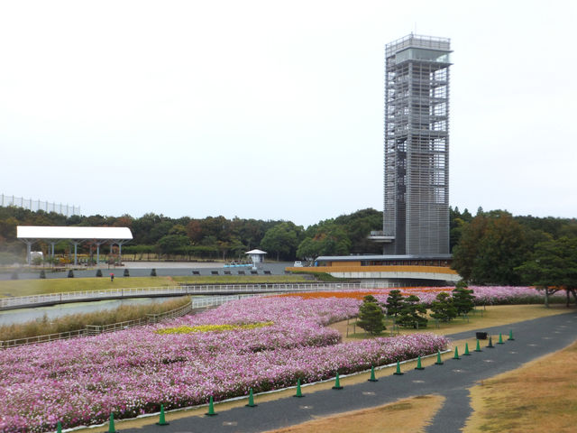 �l���΃K�[�f���p�[�N�W�]��