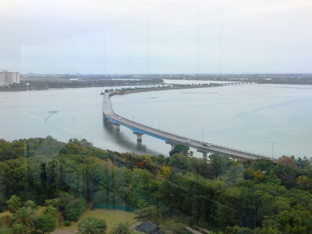 �l���΃K�[�f���p�[�N�W�]��