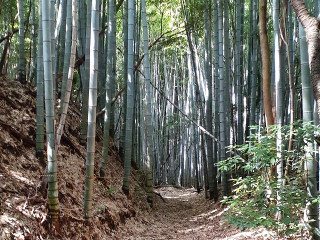 �B��Ó��@������