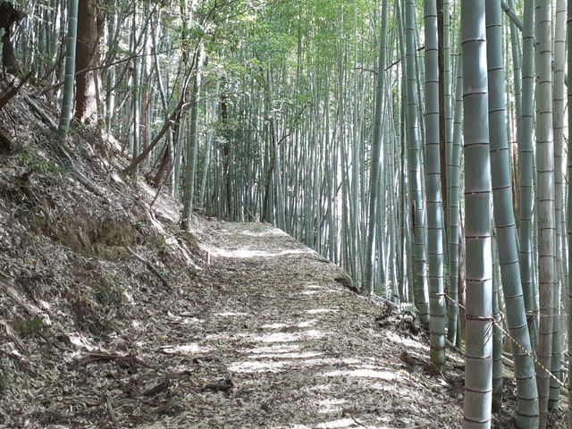 �B��Ó��@������