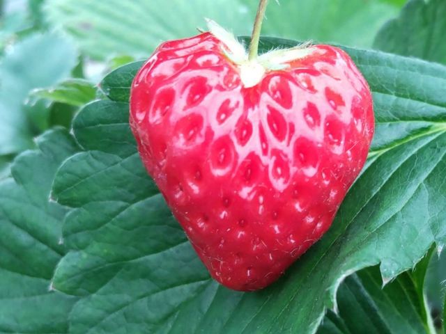 �������̐X ������܂̎ʐ^1