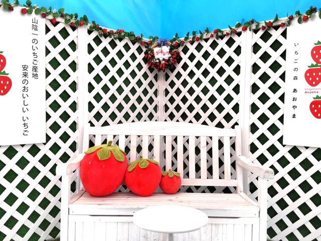 ��؂Ȑl�Ƃ̎v���o�ɁI�������̃t�H�g�X�|�b�g_�������̐X �������