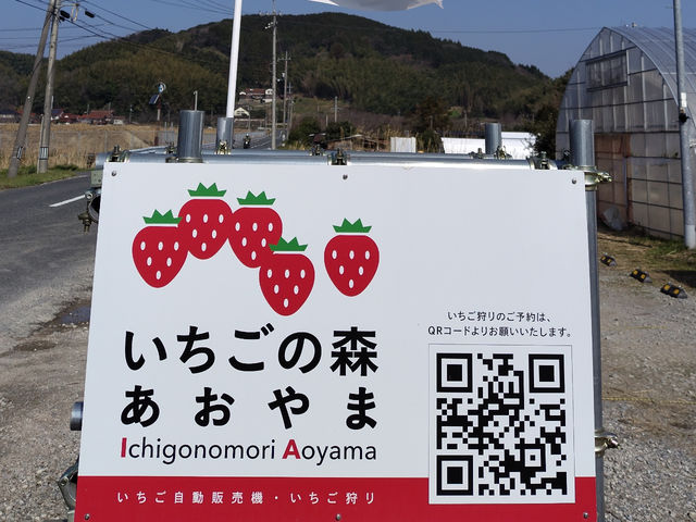 ���̊Ŕ��ڈ�ł�_�������̐X �������