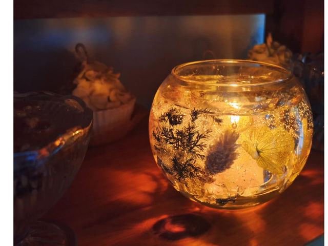 �L�����h���̐X�H�[