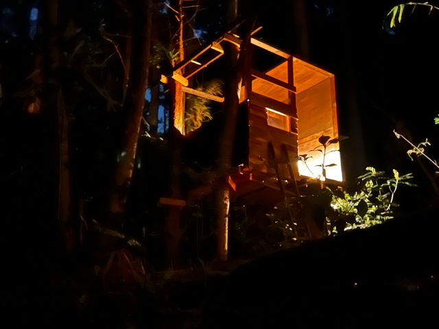 �c���[�n�E�X�̖�_�͂�͂�̋�