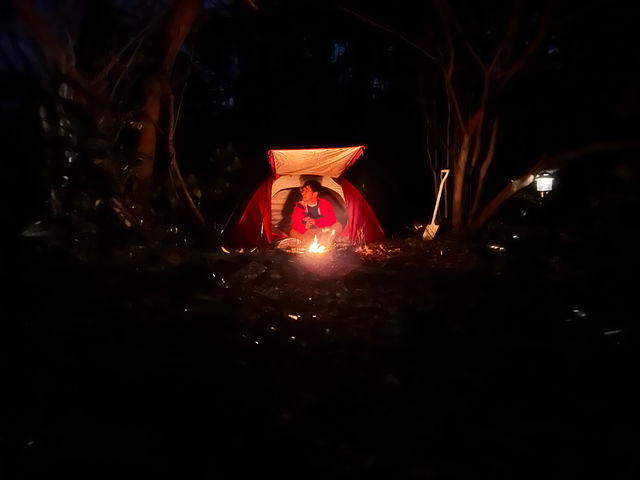 �\���L�����̖�_�͂�͂�̋�