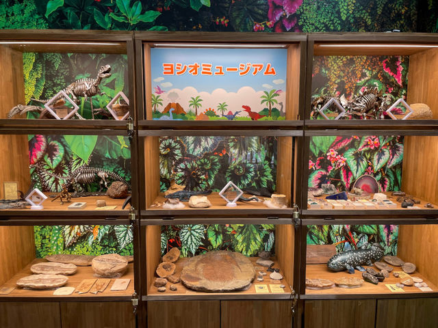 �{���̉��΂���������W�����Ă��܂�_�ނ��Č�����ڂ�����̍� ���͌���a�X