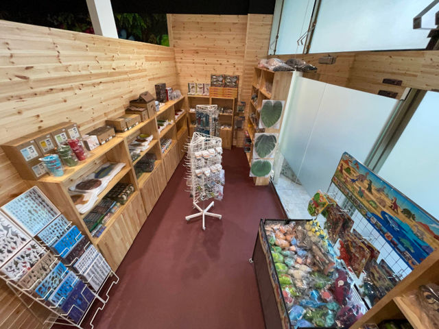 ���y�Y�R�[�i�[���[��_�ނ��Č�����ڂ�����̍� ���͌���a�X