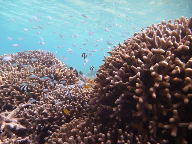 �V���m�[�P�����O�|�C���g_����}�����A�N�e�B�r�e�B�p�[�N������