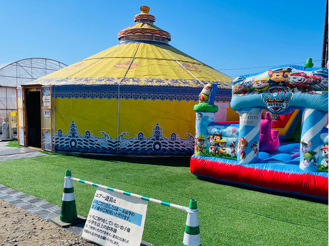 ���������̃x���[�^�E���̎ʐ^1