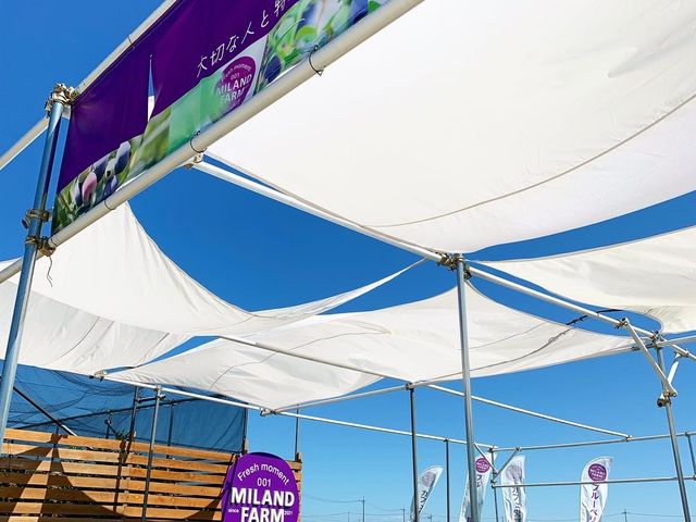 �~�����_�t�@�[���̃u���[�x���[�F�̃��S���ڈ�_MILAND FARM