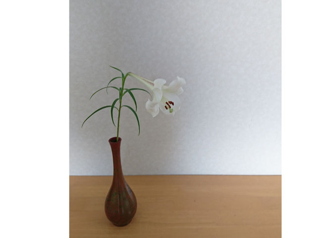 ���낢��Ȃ��Ԃ̃��b�X�������Ă���܂����A���Ԃ̂��Ƃ��m���Ă������������A�������񂨘b���������Ă��������Ă���܂��B�S���̖{���̎p�A�����m�ł����H�H�H_��k SENKEI