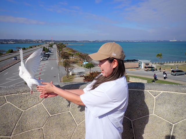 ���C�I����I�K�^�̔������̃����[�X�I��������̃����[�X_�R���v���[�g����