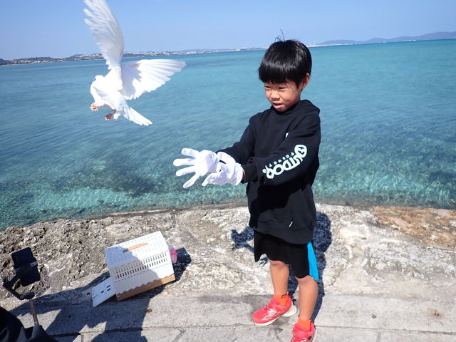 ���肢�����΂����I�K�^�̔������̃����[�X_�R���v���[�g����