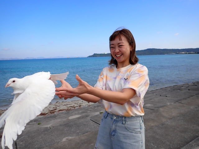 ���C�I����I�K�^�̔������̃����[�X�I�C�݂���̃����[�X_�R���v���[�g����