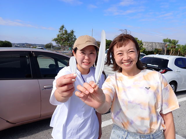 �K�^�̔������̉H_�R���v���[�g����