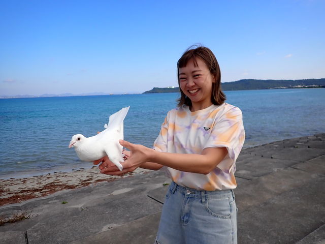 ���C�I����I�K�^�̔������̃����[�X�I�C�݂���̃����[�X_�R���v���[�g����