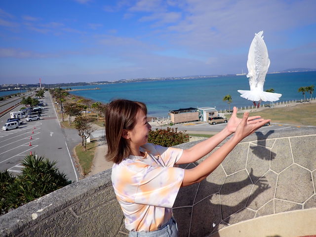 ���C�I����I�K�^�̔������̃����[�X�I��������̃����[�X_�R���v���[�g����