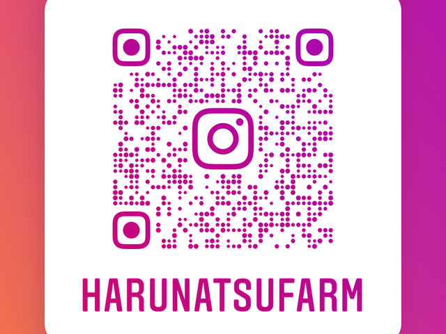 �͂�Ȃt�@�[��