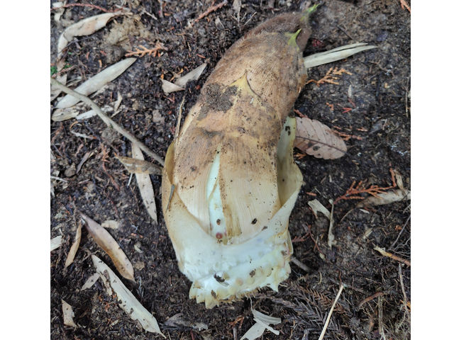 ⡌@��̌���4����{�`5�����{�ł��B_�Ö��ƕ���